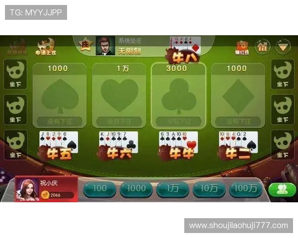 全面解析网上百家乐游戏的规则与策略新手快速入门指南